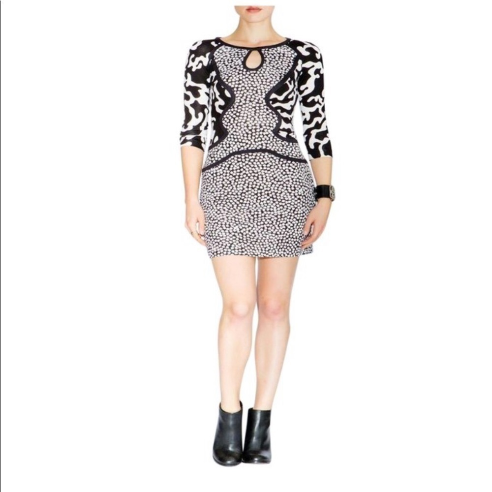 Diane Von Furstenberg Roseheart Dress